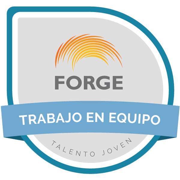 Insignia por trabajo en equipo